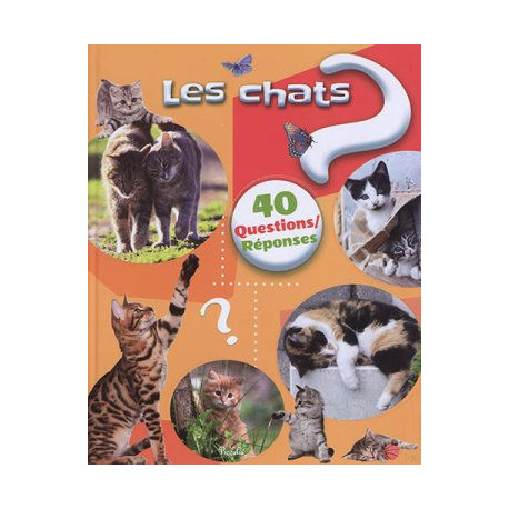 LES CHATS  - 1
