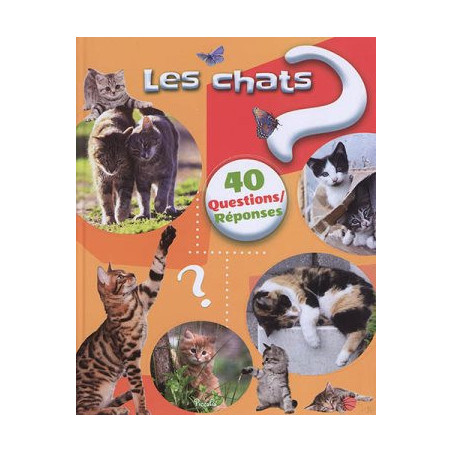 LES CHATS  - 1