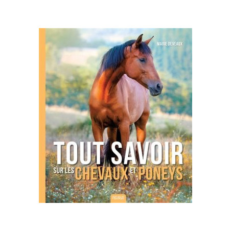 TOUT SAVOIR SUR LES CHEVAUX ET PONEYS  - 1