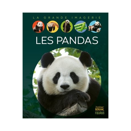LA GRANDE IMAGERIE : LES PANDAS - 1 LA GRANDE IMAGERIE : LES PANDAS - 1