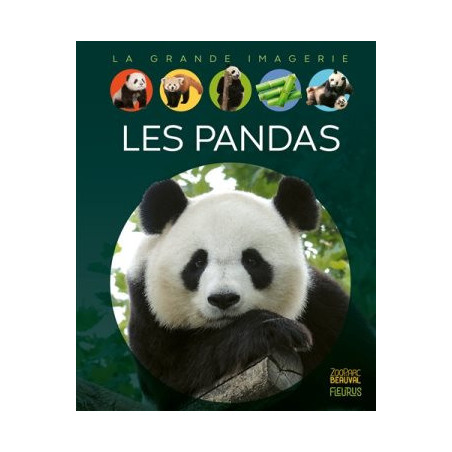 LA GRANDE IMAGERIE : LES PANDAS  - 1