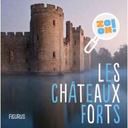 Les châteaux forts - ZOOM